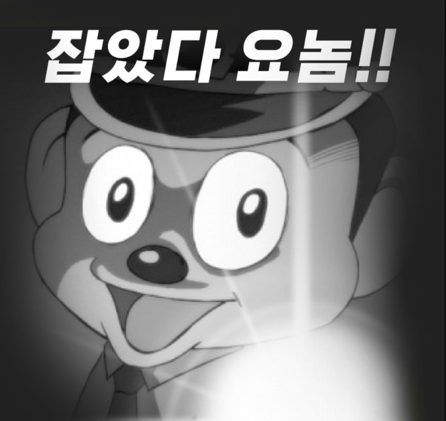 잡았다요놈!